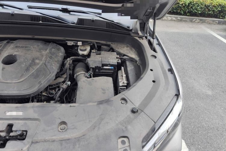 Used Geely Auto Monjaro L 2021 2.0TD DCT EVO Two-Wheel-Drive Flagship Version Engine Bay Left