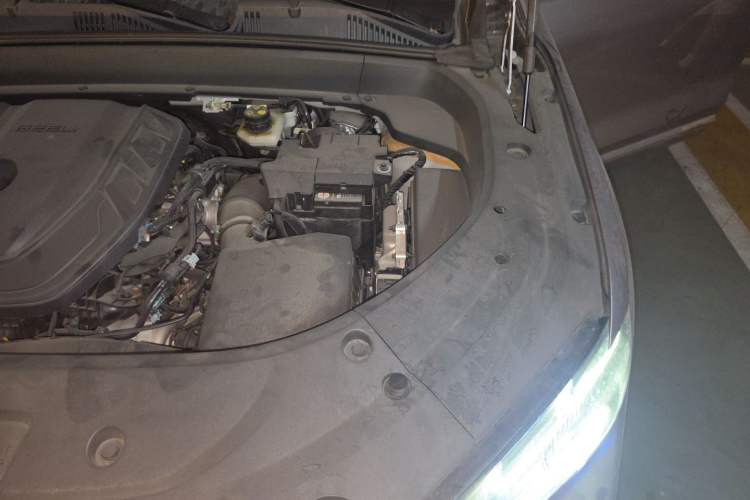 Used Geely Auto Monjaro L 2021 2.0TD DCT EVO Two-Wheel Drive Smart Luxury Version Engine Bay Left
