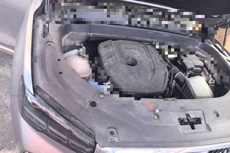 Used Geely Auto Monjaro L 2021 2.0TD DCT EVO Two-Wheel Drive Smart Luxury Version Engine Bay Right