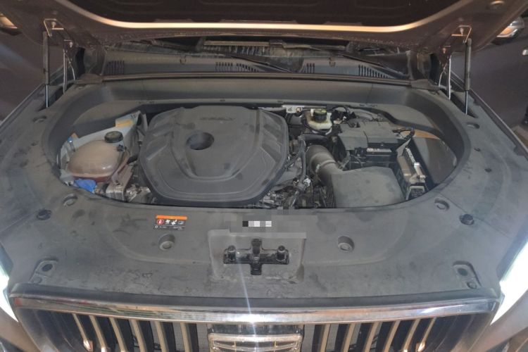 Used Geely Auto Monjaro L 2021 2.0TD DCT EVO Two-Wheel Drive Smart Luxury Version Engine Bay