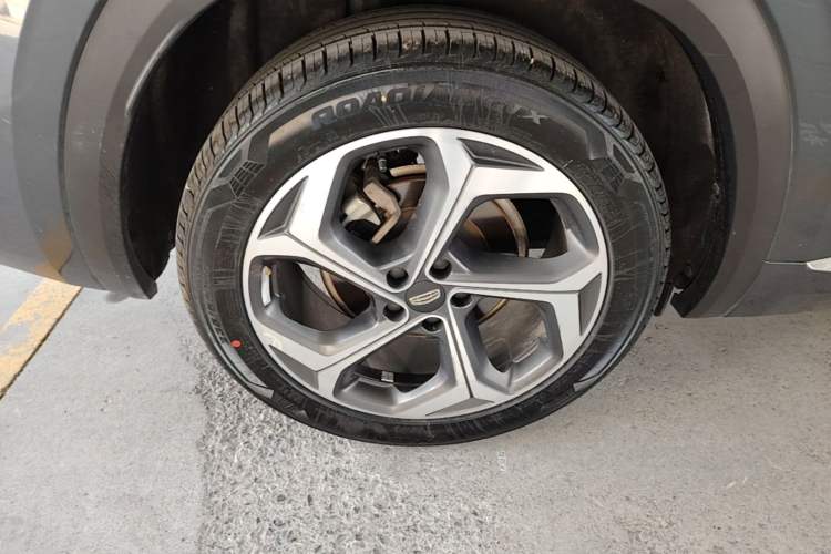 Used Geely Auto Monjaro L 2021 2.0TD DCT EVO Two-Wheel Drive Prestige Version Exterior 5