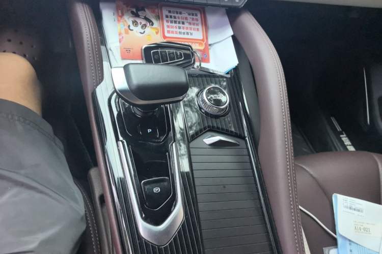 Used Geely Auto Monjaro L 2021 2.0TD DCT EVO Two-Wheel Drive Prestige Version Gear Lever