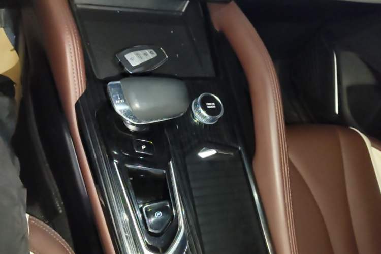 Used Geely Auto Monjaro L 2021 2.0TD DCT EVO Two-Wheel Drive Prestige Version Gear Lever