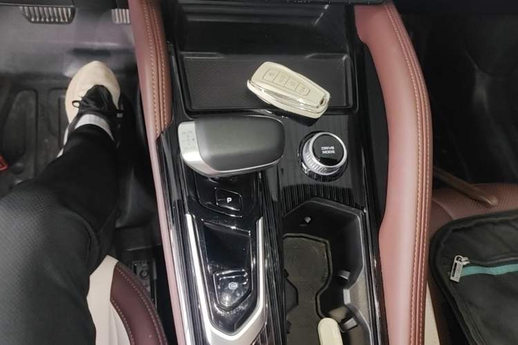 Used Geely Auto Monjaro L 2021 2.0TD High-Power Automatic All-Wheel-Drive Flagship Version Gear Lever