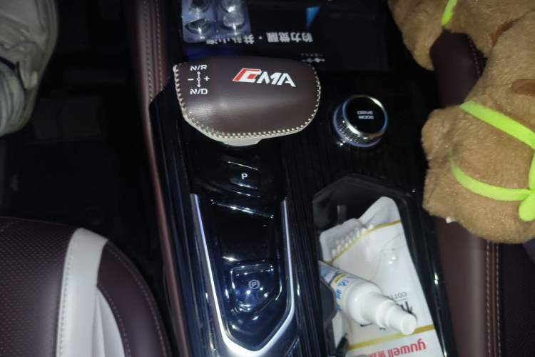 Used Geely Auto Monjaro L 2021 2.0TD DCT EVO Two-Wheel-Drive Flagship Version Gear Lever