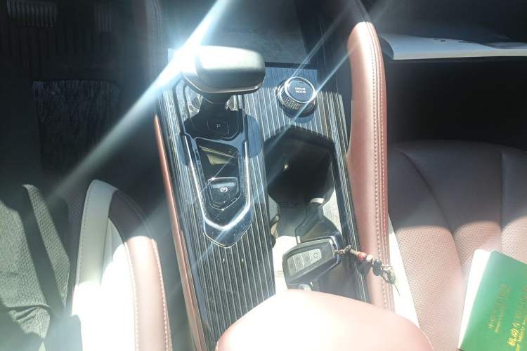 Used Geely Auto Monjaro L 2021 2.0TD DCT EVO Two-Wheel Drive Prestige Version Gear Lever