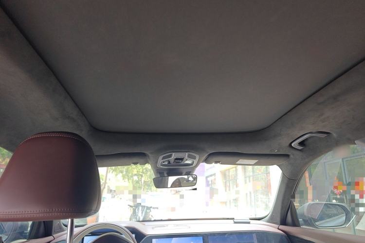 Used Geely Auto Monjaro L 2021 2.0TD DCT EVO Two-Wheel Drive Prestige Version Headliner