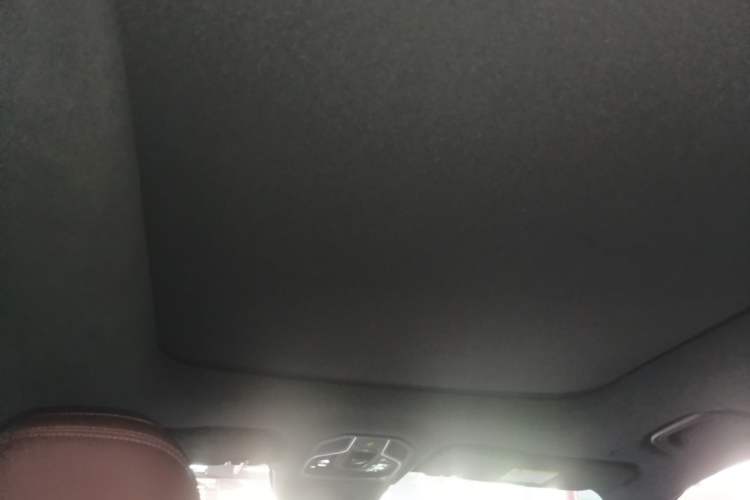 Used Geely Auto Monjaro L 2021 2.0TD DCT EVO Two-Wheel Drive Prestige Version Headliner