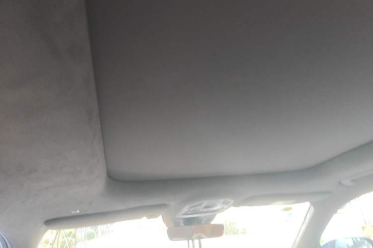 Used Geely Auto Monjaro L 2021 2.0TD DCT EVO Two-Wheel Drive Prestige Version Headliner