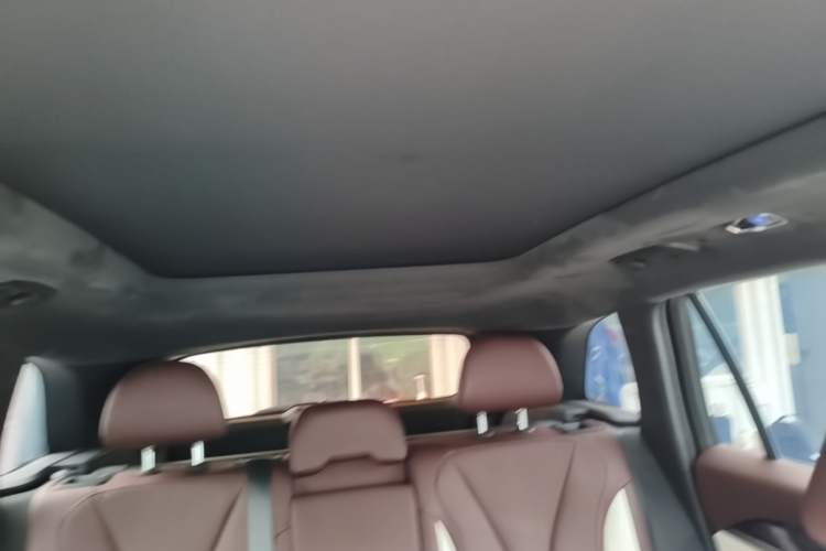 Used Geely Auto Monjaro L 2021 2.0TD DCT EVO Two-Wheel Drive Prestige Version Headliner