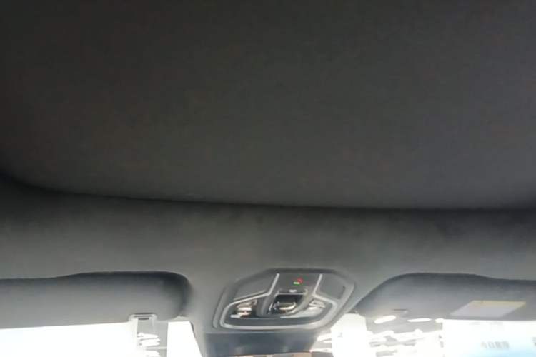 Used Geely Auto Monjaro L 2021 2.0TD DCT EVO Two-Wheel Drive Prestige Version Headliner