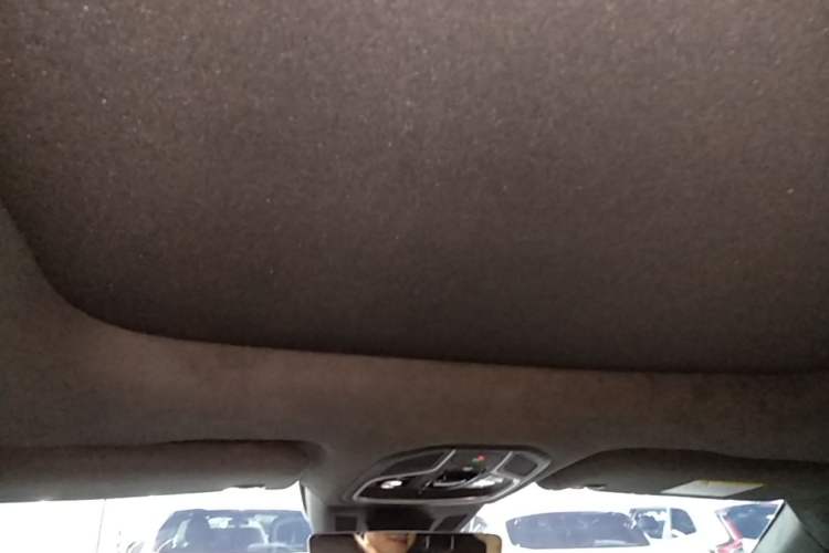 Used Geely Auto Monjaro L 2021 2.0TD DCT EVO Two-Wheel Drive Smart Luxury Version Headliner