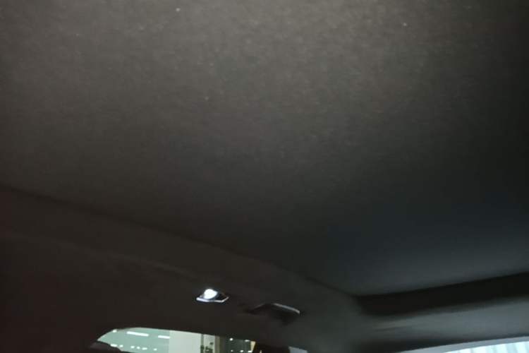 Used Geely Auto Monjaro L 2021 2.0TD DCT EVO Two-Wheel Drive Prestige Version Headliner