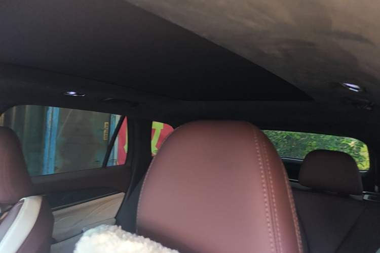 Used Geely Auto Monjaro L 2021 2.0TD DCT EVO Two-Wheel Drive Smart Luxury Version Headliner
