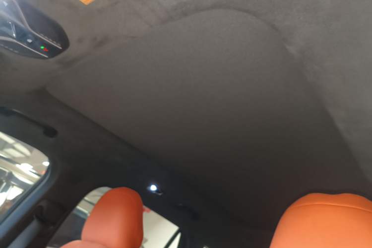 Used Geely Auto Monjaro L 2021 2.0TD DCT EVO Two-Wheel Drive Prestige Version Headliner