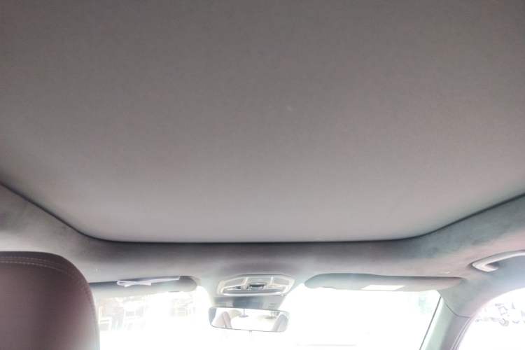Used Geely Auto Monjaro L 2021 2.0TD DCT EVO Two-Wheel Drive Prestige Version Headliner