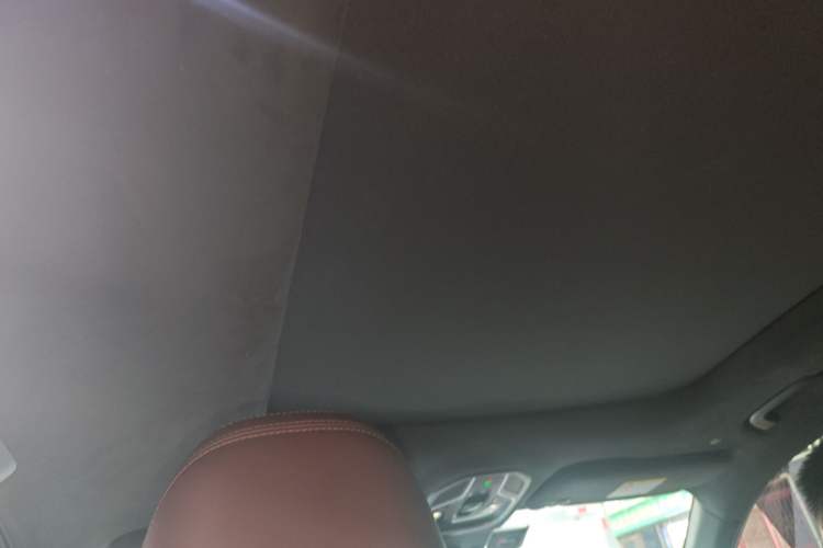 Used Geely Auto Monjaro L 2021 2.0TD DCT EVO Two-Wheel Drive Prestige Version Headliner