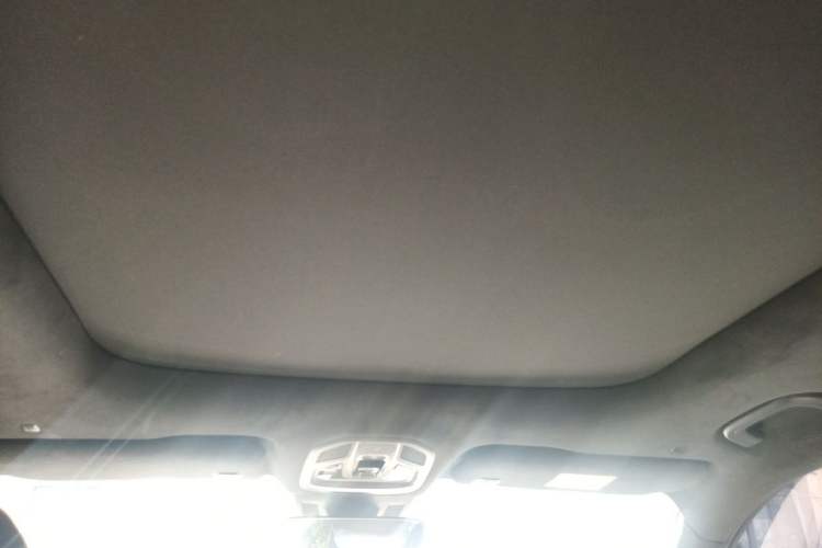 Used Geely Auto Monjaro L 2021 2.0TD DCT EVO Two-Wheel Drive Prestige Version Headliner
