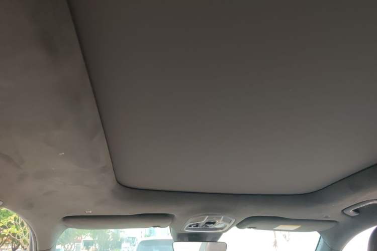 Used Geely Auto Monjaro L 2021 2.0TD DCT EVO Two-Wheel Drive Prestige Version Headliner