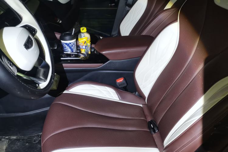Used Geely Auto Monjaro L 2021 2.0TD DCT EVO Two-Wheel Drive Smart Luxury Version Left Front Seat