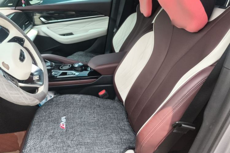 Used Geely Auto Monjaro L 2021 2.0TD DCT EVO Two-Wheel Drive Smart Luxury Version Left Front Seat