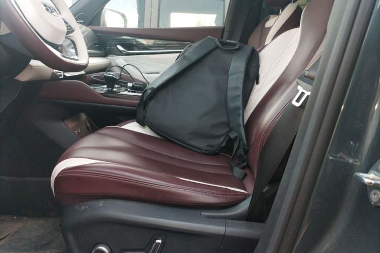 Used Geely Auto Monjaro L 2021 2.0TD DCT EVO Two-Wheel Drive Smart Luxury Version Left Front Seat
