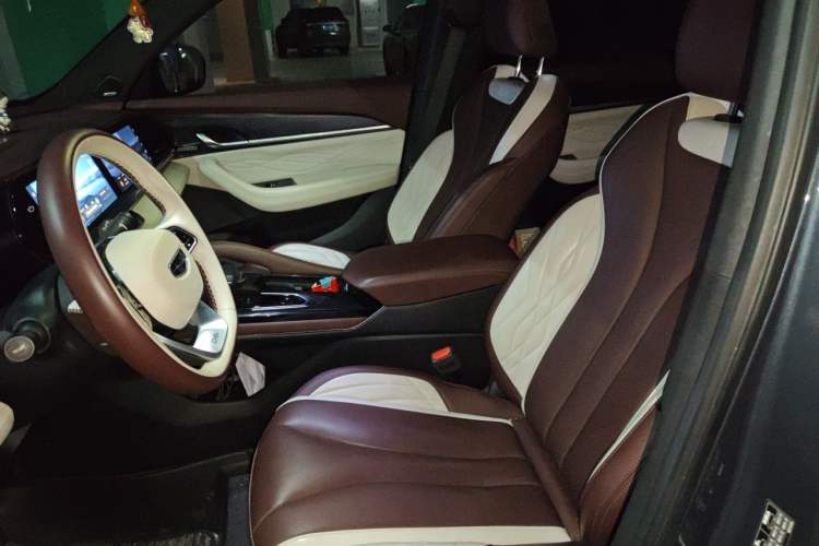 Used Geely Auto Monjaro L 2021 2.0TD High-Power Automatic All-Wheel-Drive Flagship Version Left Front Seat