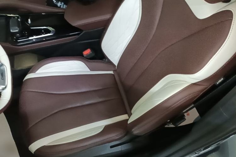 Used Geely Auto Monjaro L 2021 2.0TD DCT EVO Two-Wheel Drive Prestige Version Left Front Seat