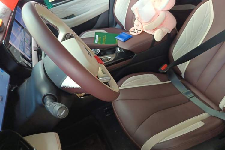 Used Geely Auto Monjaro L 2021 2.0TD DCT EVO Two-Wheel Drive Prestige Version Left Front Seat