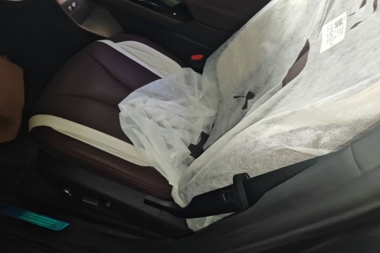 Used Geely Auto Monjaro L 2021 2.0TD High-Power Automatic All-Wheel-Drive Flagship Version Left Front Seat