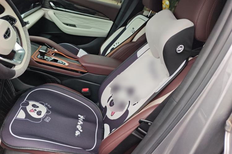 Used Geely Auto Monjaro L 2021 2.0TD DCT EVO Two-Wheel Drive Smart Luxury Version Left Front Seat