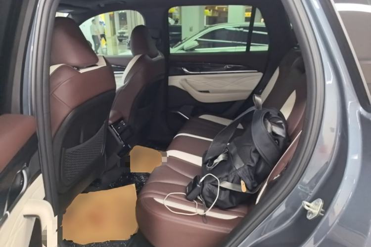 Used Geely Auto Monjaro L 2021 2.0TD DCT EVO Two-Wheel Drive Smart Luxury Version Left Rear Seat
