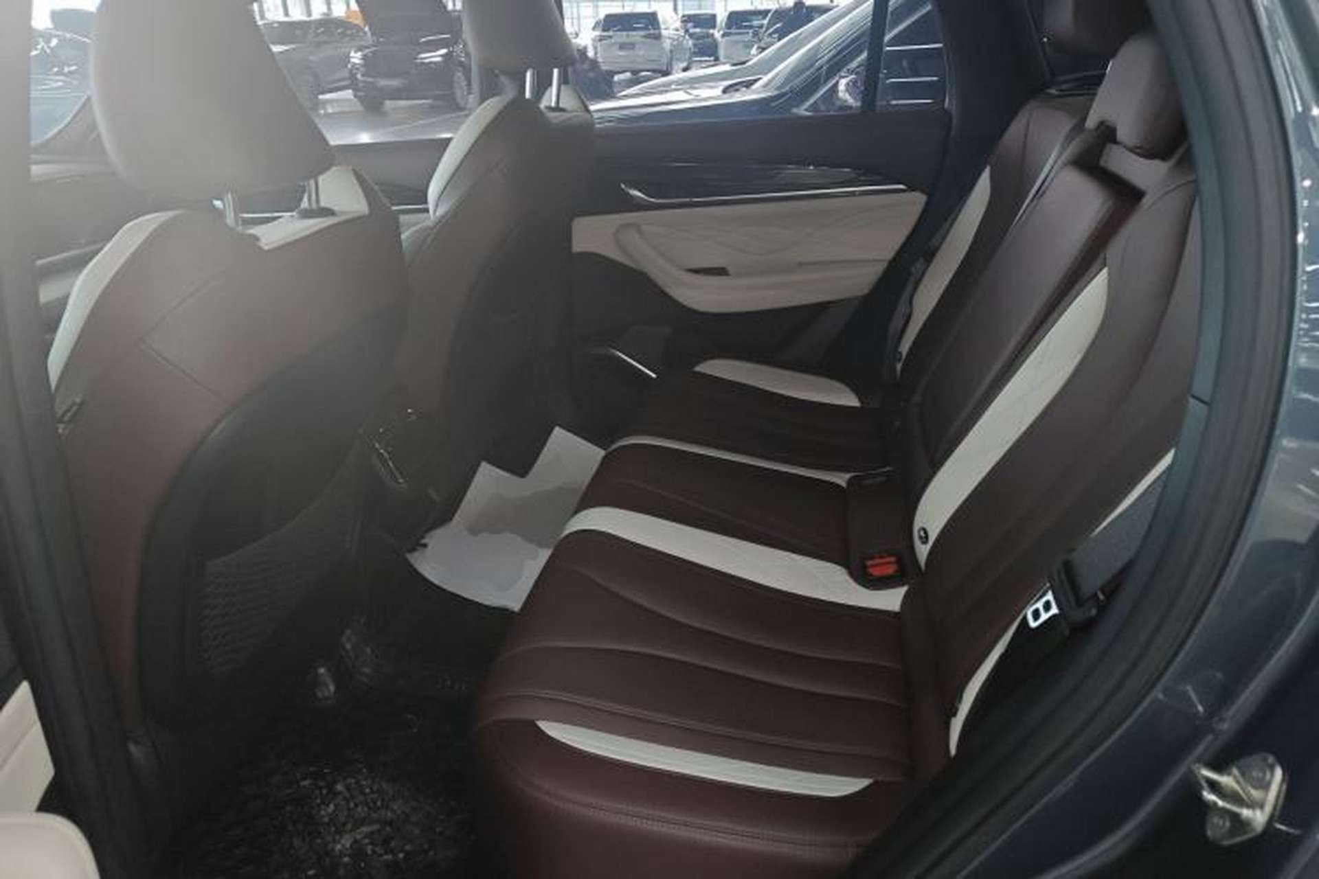 Used Geely Auto Monjaro L 2021 2.0TD DCT EVO Two-Wheel Drive Prestige Version Left Rear Seat