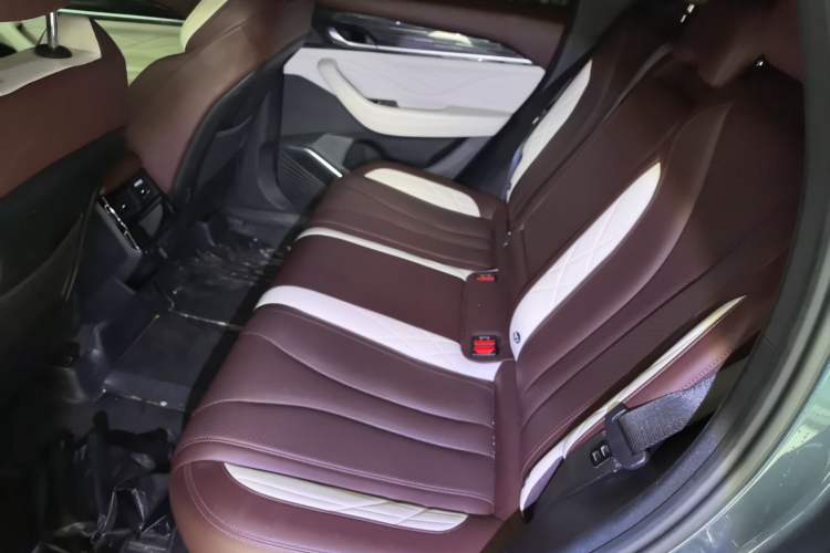 Used Geely Auto Monjaro L 2021 2.0TD DCT EVO Two-Wheel Drive Smart Luxury Version Left Rear Seat