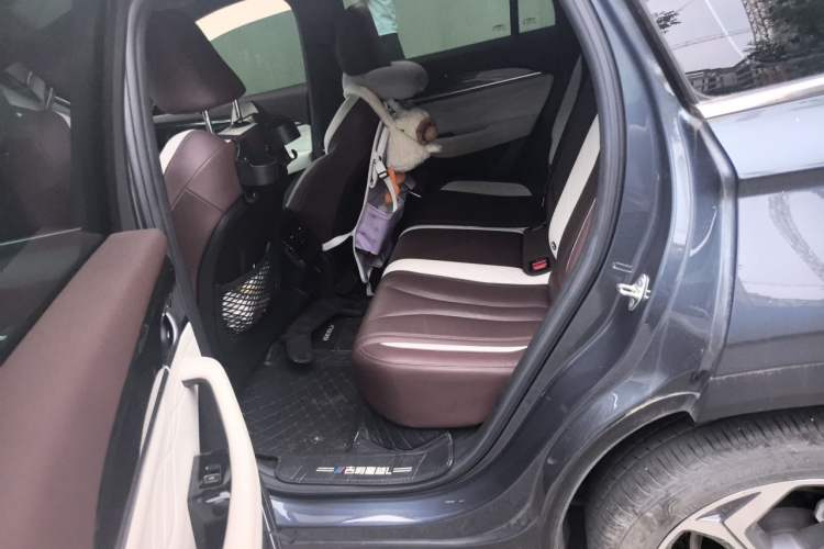 Used Geely Auto Monjaro L 2021 2.0TD DCT EVO Two-Wheel Drive Prestige Version Left Rear Seat