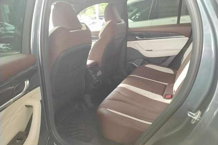 Used Geely Auto Monjaro L 2021 2.0TD DCT EVO Two-Wheel Drive Smart Luxury Version Left Rear Seat