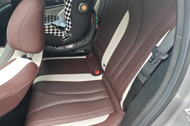 Used Geely Auto Monjaro L 2021 2.0TD DCT EVO Two-Wheel Drive Prestige Version Left Rear Seat