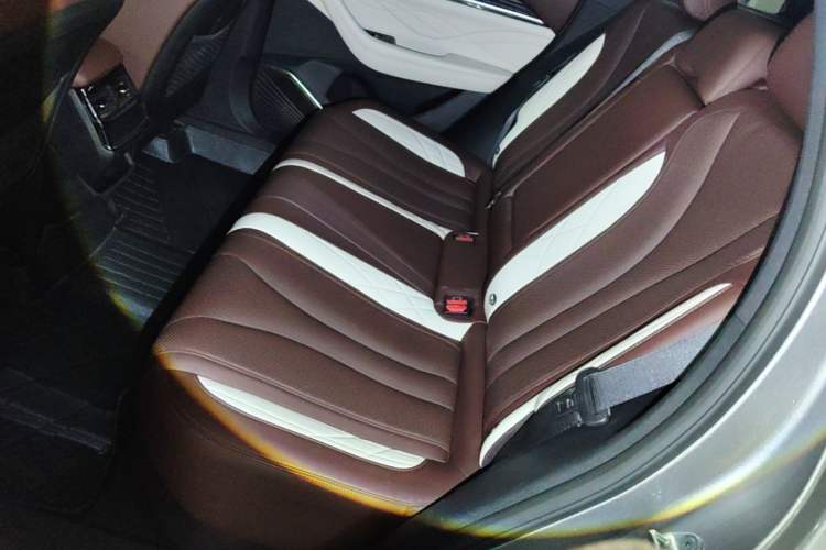 Used Geely Auto Monjaro L 2021 2.0TD DCT EVO Two-Wheel Drive Prestige Version Left Rear Seat