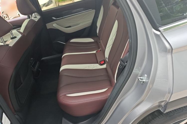 Used Geely Auto Monjaro L 2021 2.0TD DCT EVO Two-Wheel Drive Prestige Version Left Rear Seat