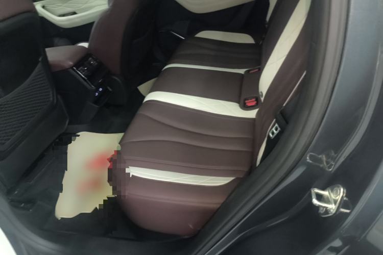 Used Geely Auto Monjaro L 2021 2.0TD DCT EVO Two-Wheel Drive Prestige Version Left Rear Seat