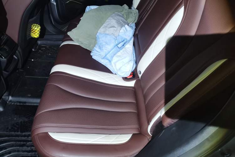 Used Geely Auto Monjaro L 2021 2.0TD DCT EVO Two-Wheel Drive Smart Luxury Version Left Rear Seat