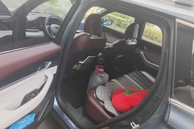 Used Geely Auto Monjaro L 2021 2.0TD DCT EVO Two-Wheel Drive Prestige Version Left Rear Seat