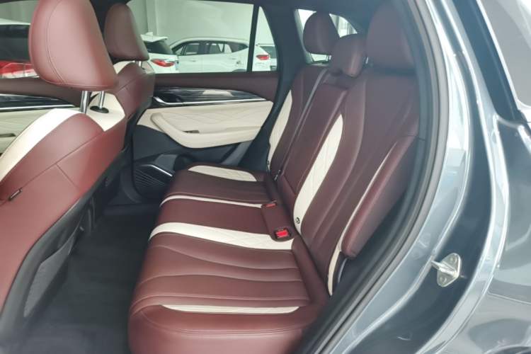 Used Geely Auto Monjaro L 2021 2.0TD DCT EVO Two-Wheel Drive Prestige Version Left Rear Seat