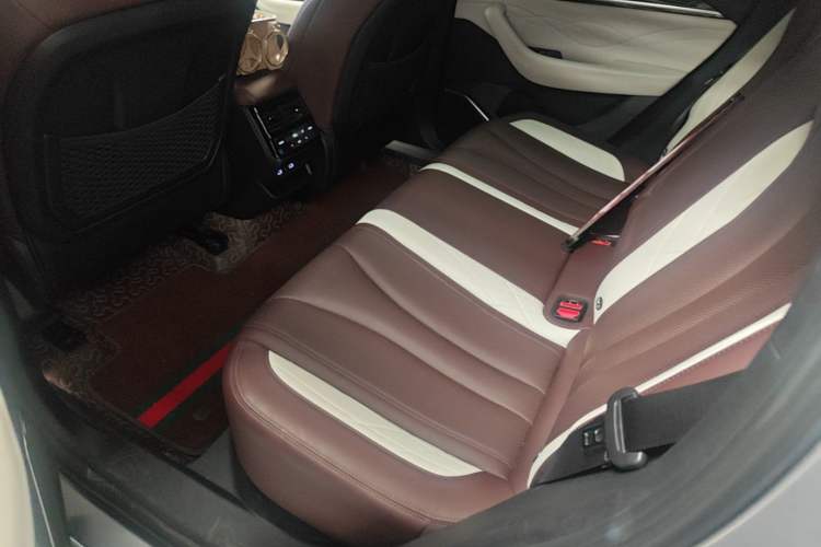 Used Geely Auto Monjaro L 2021 2.0TD DCT EVO Two-Wheel Drive Smart Luxury Version Left Rear Seat