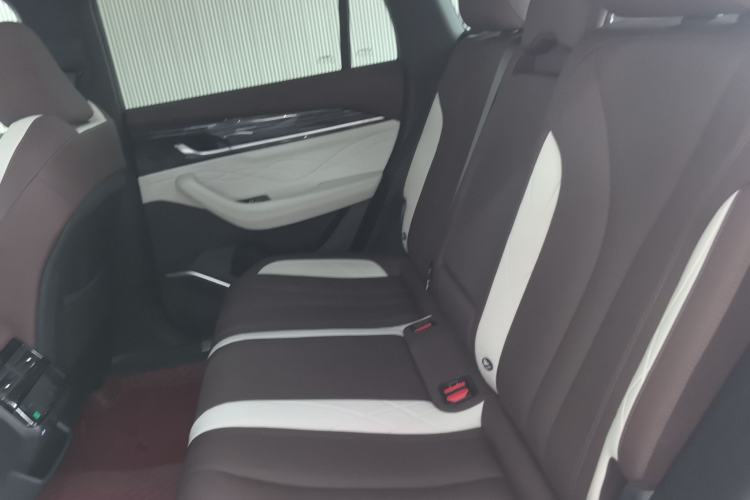 Used Geely Auto Monjaro L 2021 2.0TD High-Power Automatic All-Wheel-Drive Flagship Version Left Rear Seat