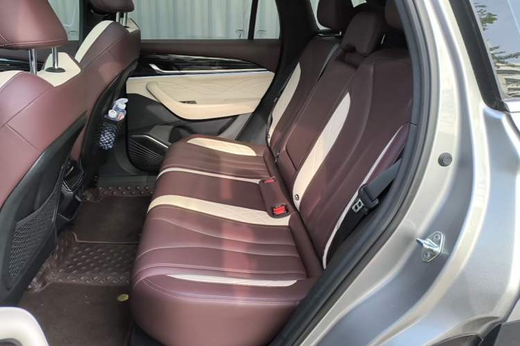 Used Geely Auto Monjaro L 2021 2.0TD DCT EVO Two-Wheel Drive Prestige Version Left Rear Seat