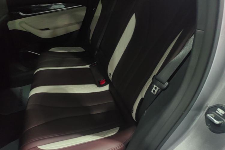 Used Geely Auto Monjaro L 2021 2.0TD DCT EVO Two-Wheel-Drive Flagship Version Left Rear Seat