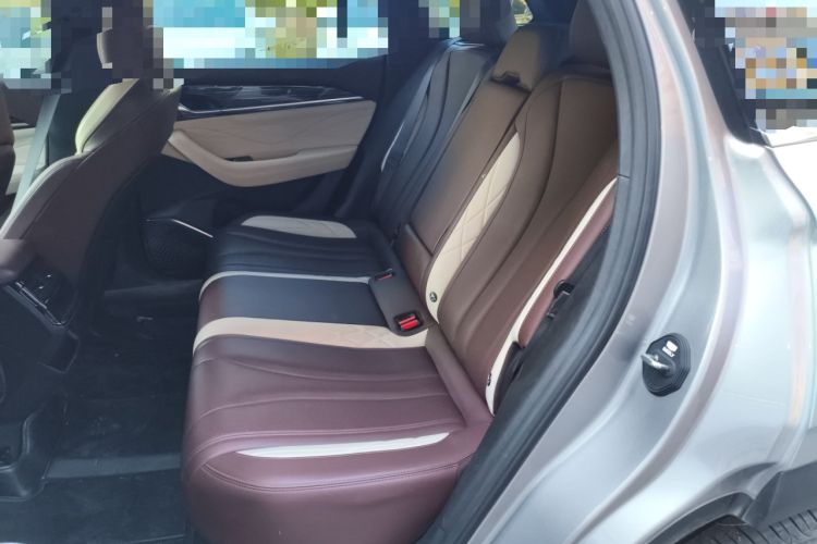 Used Geely Auto Monjaro L 2021 2.0TD DCT EVO Two-Wheel Drive Prestige Version Left Rear Seat