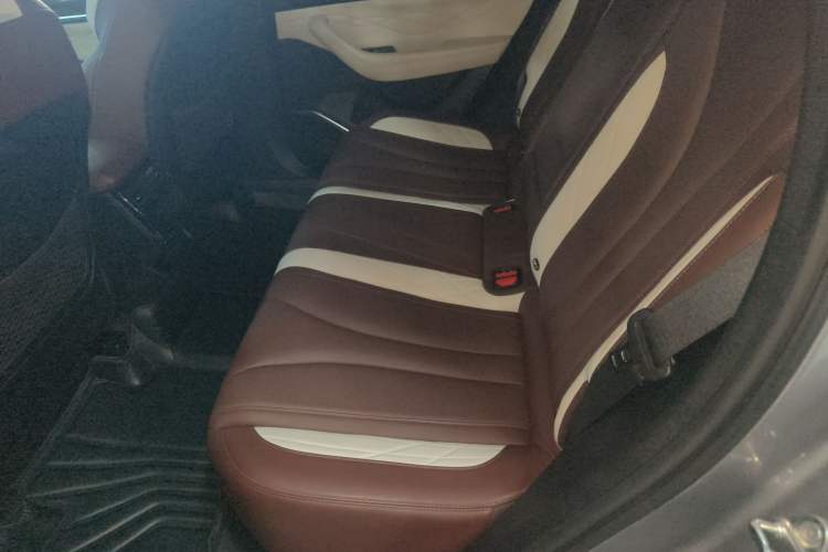 Used Geely Auto Monjaro L 2021 2.0TD DCT EVO Two-Wheel Drive Smart Luxury Version Left Rear Seat