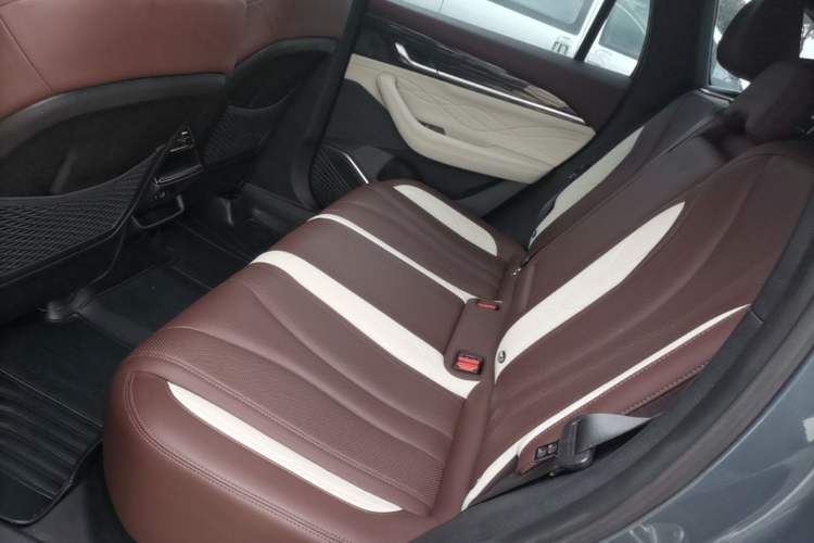 Used Geely Auto Monjaro L 2021 2.0TD DCT EVO Two-Wheel Drive Prestige Version Left Rear Seat